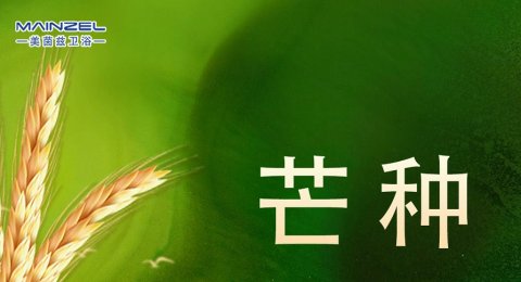 今日芒种